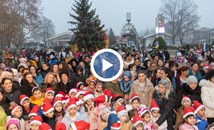 Сливо поле запали светлините на коледната елха