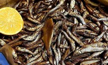 Цацата влиза в менюто за Никулден с рецепта от Варна