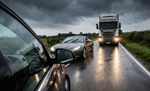 Как инстинктът за запазване на рода изкривява преценката ни за опасност