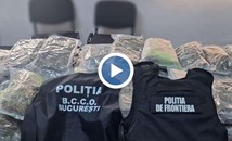 Гранична полиция откри 37 килограма канабис в камион в Гюргево