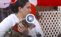 Куче след 5 години и 3600 пропътувани километра пак у дома