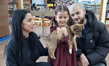 Мъничкият Максимус намери нов дом дни преди Коледа