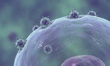 Детски вирус отключва рак на пикочния мехур десетилетия по-късно