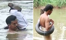 Индийски учител плува до работа, за да избегне задръстванията