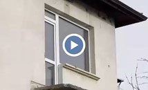 Елеонора от Радомир е с над 100 ареста в Мадрид и нула дни затвор