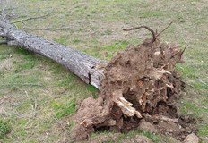 Екипите на РДПБЗН – Русе реагираха на десет сигнала за