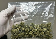 Полицията иззе 80 грама марихуана и три електронни везни от