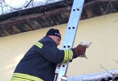 Екипът се отзова на сигнал от пазара в последния ден