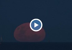 Явлението Студената луна предложи уникална гледкаПоследната суперлуна за 2025 година