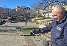 Влечугото е забелязано пред драматичния театър от зам областния управител Адриан