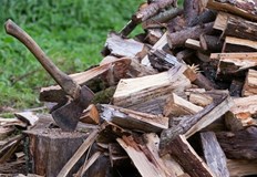 Служители на МВР и горски инспектори откриха немаркирани дърва в