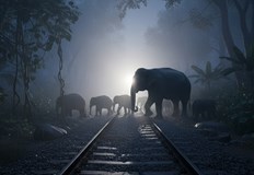 Локомотивът и пет вагона дерайлираха след удара няма пострадали сред