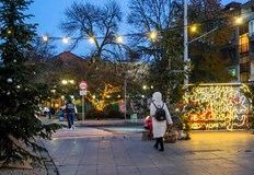 Заетостта в областта е с 5 на сто над средното