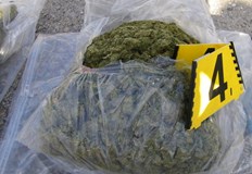 Гранични полицаи иззеха над 10 килограма канабис при специализирана операцияСлужители