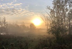 Термометрите скачат до 14 градуса въпреки сутрешната облачност в Дунавската