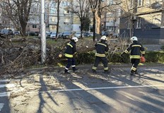 Пожарната реагира на десетки сигналиУраганен вятър създаде сериозни проблеми в