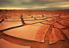 Експертът предупреждава за масова миграция заради глобалното засушаванеНад 135 милиона