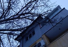 Собственици сигнализират за бездействие на институциите повече от годинаОгромен изсъхнал