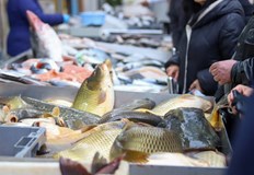 Там ги пускат по евтино отколкото ние ги зареждаме заяви Ростислав