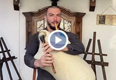 Младен Върбанов учи терзийство при майстор Иван Тонев – Гърбача