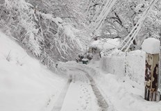 Аварии в Северозапада и Русенско село Брестовица е на тъмно