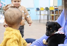 Инициативата в детския отдел Библиотечко насърчава осиновяването на бездомни животниМалки