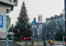 1439 мъже в общината носят името Стефан а дамите с