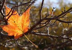 Сутрешните мъгли в низините ще се вдигнат около обядПредимно слънчево