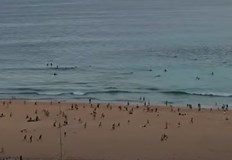 11 души са ранени сред които има и двама полицейски