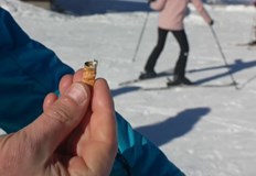 Глобата е 135 евро а при повторно нарушение 375 евроФранция