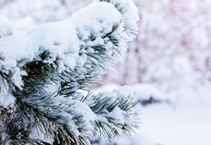 Синоптиците очакват промяна на циркулацията и възможни снеговалежи едва в