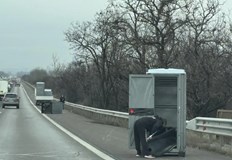 Куриозната гледка изненада пътуващите няма материални щетиШофьори пътуващи по автомагистрала