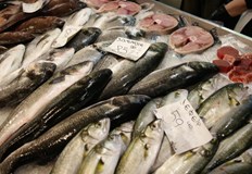 Браншът настоява за по строг контрол над вноса и защита