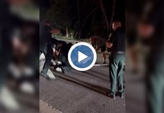 Влечугото с тегло над 270 килограма планирало да остане за