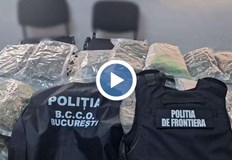 Дрогата била скрита сред декоративни храсти шофьорът остава в ареста