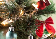 Родното производство се изнася успешно в 12 европейски държавиТърговията с