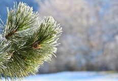 Очакват ни ледени дни и обилни валежиБългария се подготвя за