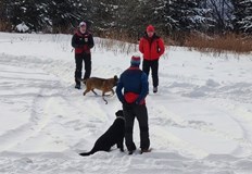 Спасителната операция продължава втори ден обхождат се предполагаеми райониСпециализирани кучета
