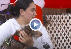 Историята на кучето Чоко с щастлива развръзка след намесата на