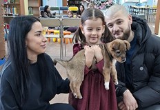 Младо семейство осинови кученцето което бе част от изложбата в