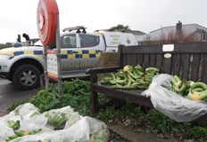 Круизен кораб с 5200 пътници остана блокиран в пристанището на