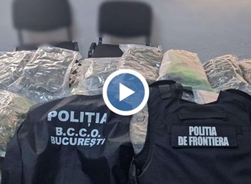 Гранична полиция откри 37 килограма канабис в камион в Гюргево