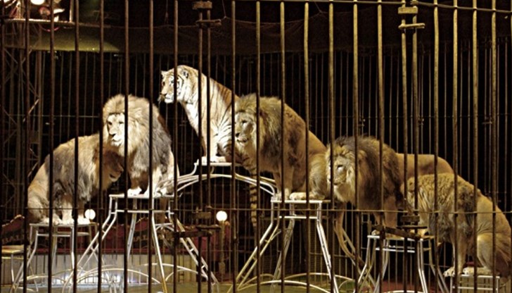 Напрежение и полицейски сирени белязаха празничната вечер в Германия Напрежение и полицейски сирени белязаха празничната вечер в Германия