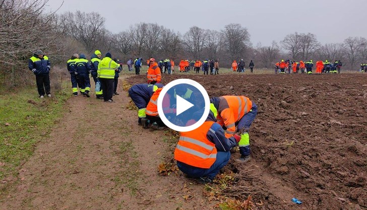 Акцията е част от мащабна инициатива за създаване на 100 декара нова гора край "Дунарит"
