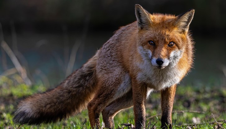 Президентът Карол Навроцки подписа указ за пълно затваряне на индустрията до 2033 година Президентът Карол Навроцки подписа указ за пълно затваряне на индустрията до 2033 година