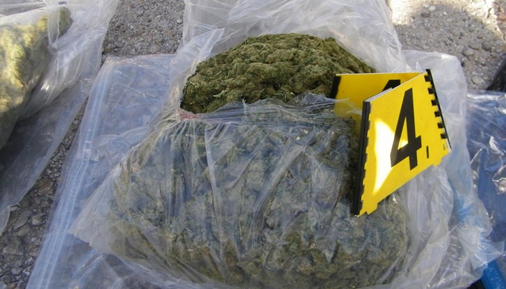 Гранични полицаи иззеха над 10 килограма канабис при специализирана операция