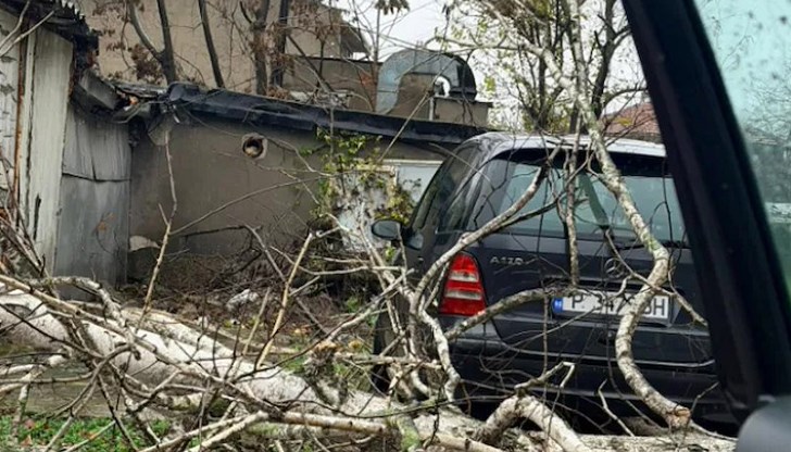 Инцидентът е станал зад блок 84