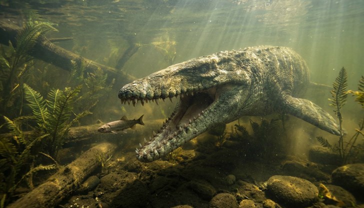 Гигантите са плували в реките на Северна Дакота преди 66 милиона години Гигантите са плували в реките на Северна Дакота преди 66 милиона години