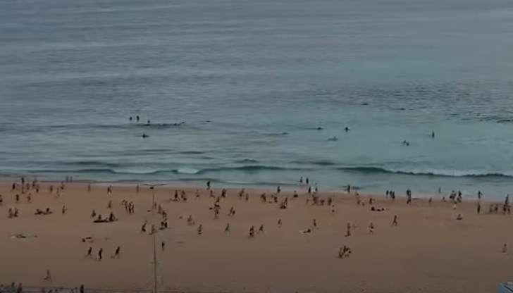 11 души са ранени, сред които има и двама полицейски служители 11 души са ранени, сред които има и двама полицейски служители