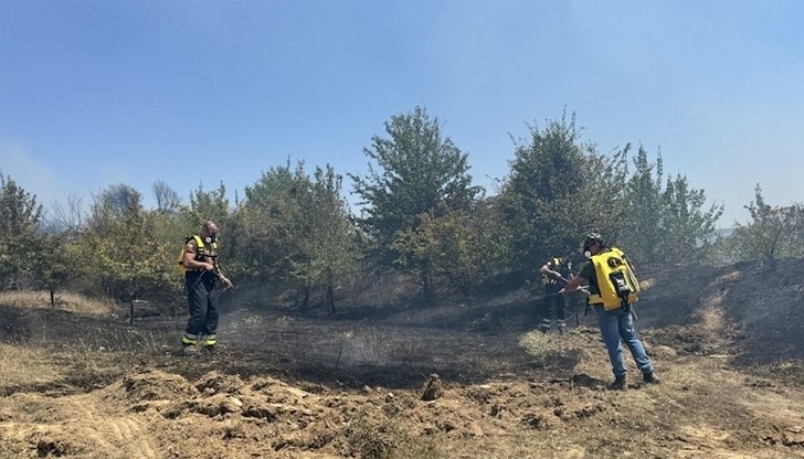 Отбелязваме Международния ден на доброволеца